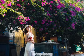 Thỏa thích check-in con đường làng chài Nha Trang rợp màu hoa giấy