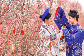 Đường hoa mai - đào lớn nhất miền Nam tại Cần Giờ nở rộ, check-in là 'auto' choáng ngợp