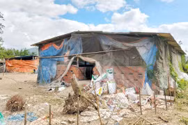 Có sổ đỏ, đất vẫn bị chiếm dụng