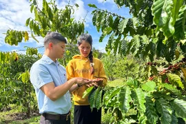 Điểm tựa cho nông dân dân tộc thiểu số