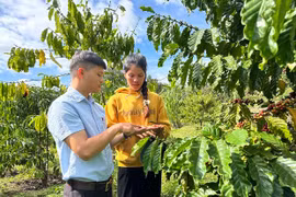 Điểm tựa cho nông dân dân tộc thiểu số