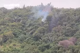 Rơi máy bay quân sự ở Đắk Lắk, phi công kịp thời nhảy dù thoát nạn