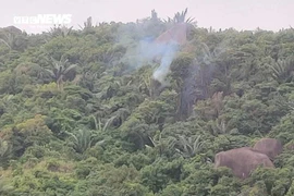 Rơi máy bay quân sự ở Đắk Lắk, phi công kịp thời nhảy dù thoát nạn