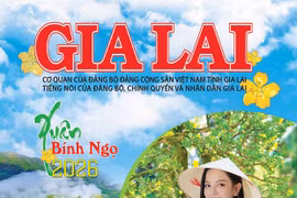 Báo Gia Lai Xuân Bính Ngọ năm 2026