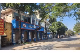 Vụ hơn 130 tấn thịt nhiễm dịch tả heo châu Phi, thông tin mới từ Công ty CP Đồ hộp Hạ Long