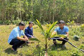 Tạo sinh kế cho đồng bào vùng dân tộc thiểu số