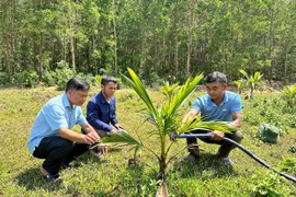 Tạo sinh kế cho đồng bào vùng dân tộc thiểu số