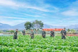 Tăng gia sản xuất, bảo đảm nguồn thực phẩm sạch cho bộ đội