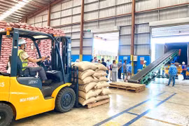 Bảo hộ thương hiệu ở thị trường quốc tế: Doanh nghiệp không thể chậm chân