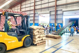 Bảo hộ thương hiệu ở thị trường quốc tế: Doanh nghiệp không thể chậm chân