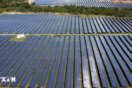 Năng lượng sạch vượt qua nhiên liệu hóa thạch trong cuộc chuyển dịch toàn cầu