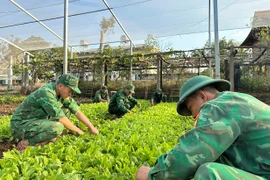 Bộ đội Biên phòng bảo đảm hậu cần đón Tết