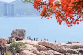 Các 'yếu tố vàng' để xây dựng Khánh Hòa trở thành 'Thành phố Nhiếp ảnh Việt Nam'