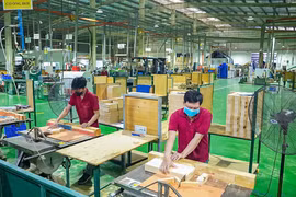 Tăng tốc sản xuất ngay đầu năm, khởi động chu kỳ tăng trưởng mới