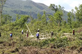 Dự án mở rộng Khu công nghiệp Nhơn Hòa giai đoạn 2: Nhanh chóng giải phóng mặt bằng