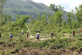 Dự án mở rộng Khu công nghiệp Nhơn Hòa giai đoạn 2: Nhanh chóng giải phóng mặt bằng