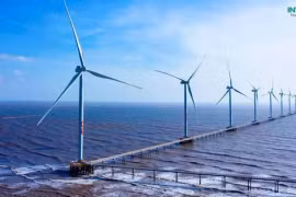 Giải pháp ít tốn kém nhất