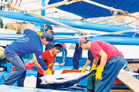 Hướng đến ngành thủy sản hiện đại, bền vững