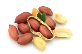 Tác dụng thú vị của đậu phộng lên thể chất người lớn tuổi