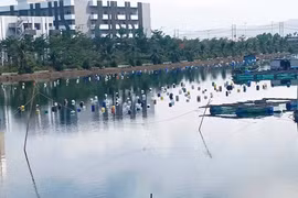 Mặt nước sông Hà Thanh lại bị chiếm dụng trái phép