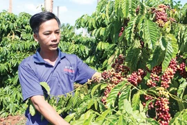 Bờ Ngoong: Giữ vững ổn định, tạo nền tảng bứt phá trong năm 2026