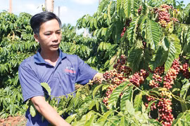 Bờ Ngoong: Giữ vững ổn định, tạo nền tảng bứt phá trong năm 2026