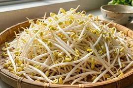 Giá đỗ: Giá trị dinh dưỡng, những ai cần lưu ý khi ăn?