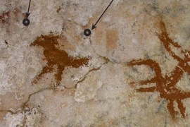 Phát hiện tác phẩm nghệ thuật trên đá cổ nhất thế giới ở Indonesia