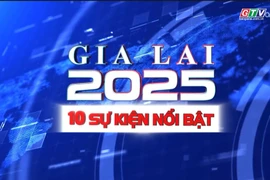 10 sự kiện nổi bật của tỉnh Gia Lai năm 2025