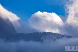 Lạc giữa chốn bồng lai ở đỉnh Hải Vân ngày đêm mây phủ