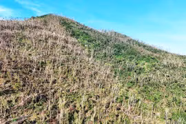 Rừng kẹt… thủ tục, dân thiệt hại nặng