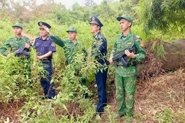 Giữ vững an ninh trật tự trên tuyến biên giới