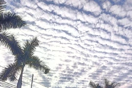 Giải mã hiện tượng 'lưới mây' bao phủ bầu trời TP.HCM