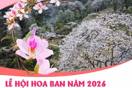 Lễ hội Hoa Ban năm 2026: Điểm hẹn mùa Xuân hấp dẫn