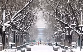 Giá rét bao trùm nhiều khu vực ở châu Âu, đã có 6 người thiệt mạng