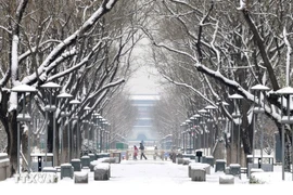 Giá rét bao trùm nhiều khu vực ở châu Âu, đã có 6 người thiệt mạng