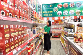 Bắt nhịp Năm Du lịch Quốc gia 2026 tại Gia Lai