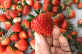 Giảm cân và đẹp da nhờ ăn dâu tây mỗi ngày