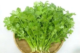 Những loại rau gia vị quen thuộc được ví như "thần dược" cho tim mạch