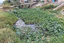 Ô nhiễm môi trường tại làng nghề bánh, bún An Thái