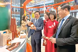 Gia Lai - Điểm đến hấp dẫn nhà đầu tư