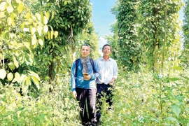 Canh tác hữu cơ để phát triển bền vững