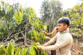 Đak Sơmei thay đổi nếp nghĩ, cách làm để giảm nghèo bền vững