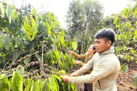 Đak Sơmei thay đổi nếp nghĩ, cách làm để giảm nghèo bền vững