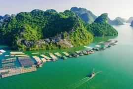 Khám phá những vùng biển trải dài khắp từ Bắc đến Nam qua sách song ngữ