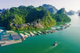 Khám phá những vùng biển trải dài khắp từ Bắc đến Nam qua sách song ngữ