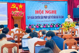 Tập huấn chuyên sâu pháp luật về đấu giá tài sản.