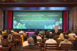 Gia Lai: Kết nối khoa học quốc tế trong nghiên cứu và phát triển dược liệu