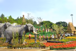 “Đại ngàn reo” - nơi người Tây Nguyên kể chuyện.