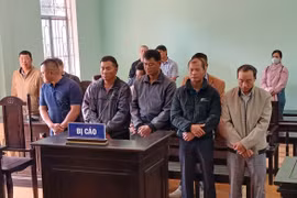 3 nhân viên bảo vệ rừng nhận hối lộ của lâm tặc.